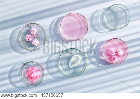 Petri Dish With Cosmetic Samples On A Light Background