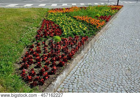 Perennial Flower Beds With Annual Flowers On The Edge Of The Flower Bed In The Paving In The Square 