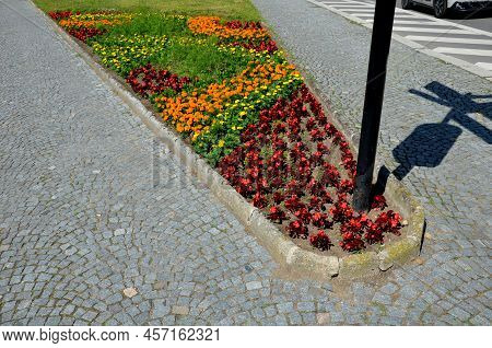 Perennial Flower Beds With Annual Flowers On The Edge Of The Flower Bed In The Paving In The Square 