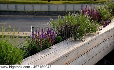 The Railings Of The Terrace On The Balcony Are Formed By Boxes Lined With Natural Terrace Boards Wit