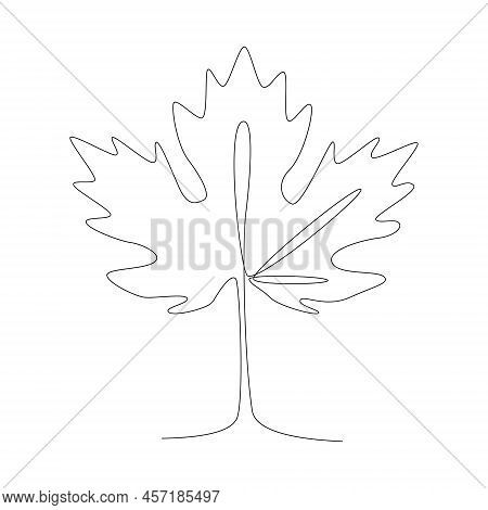 Botany Natural Eco Concept. One Line Drawing Maple Leaf