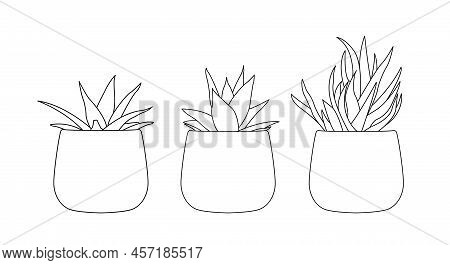 Eco Interior With Succulents In Simple Linear Style. Editable Stroke Vector Illustration