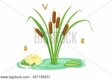 Lake Reeds With Water Lilies And Butterflies. Pond With Marsh Vegetation.