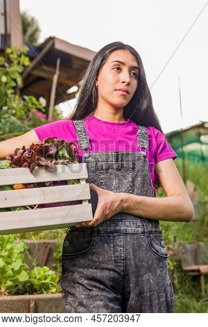 Proximity Agriculture Gardener. Organic Vegetables. Venezuelan Latin Urban Gardening Food