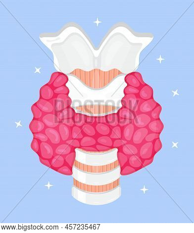 Human Thyroid Gland Vector. Hypothyroidism Concept Vector. Endocrinology Diagnose Illustration. T