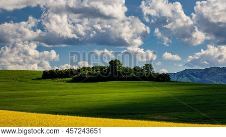 Spring Landscape With Fields Of Oilseed Rape. The Rajecka Valley In Slovakia, Europe.