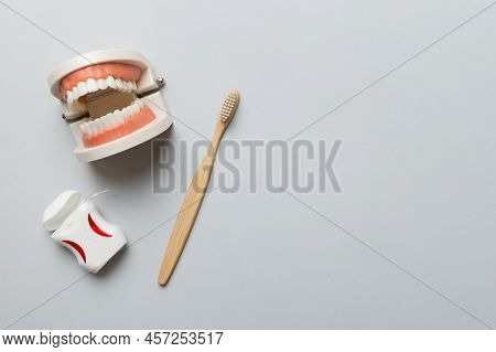 Closeup Model Of A Human Jaw With White Teeth And Toothbrush. Dentistry Conceptual Photo. Prosthetic