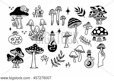 Mystical Mushrooms Isolated Outline Clipart Set, Magic Line Celestial Mushroom, Moon Stars, Witchy E