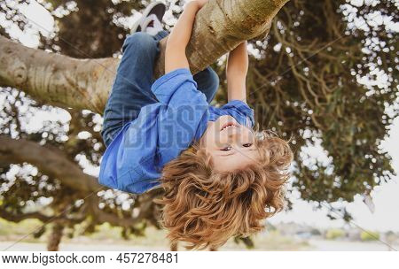Kids Climbing Trees, Hanging Upside Down On A Tree In A Park. Child Protection.