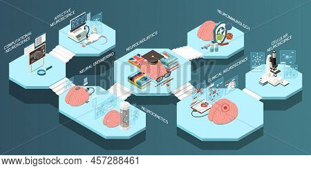 Isometric Composition With Branches Of Neuroscience And Laboratory Equipment 3d Vector Illustration