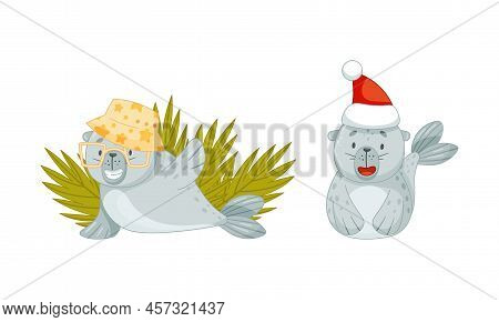 Cute Baby Seal Vector & Photo (Free Trial) | Bigstock