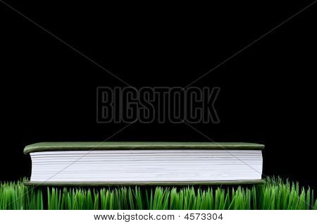 หนังสือเล่มสีเขียวบนหญ้า