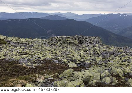 Gorhany Stones Mountain Hill Covered With Yellow Moss And Lichen, Syvulya Mountain In Carpathians, U