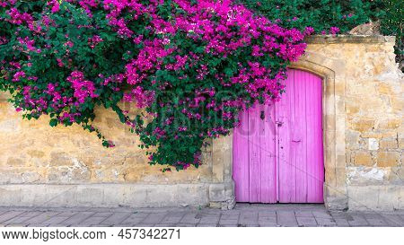 Pink Bougainvillea Flowers, Old Wooden Door And Cute Lying Cat On Stone Wall In Cyprus