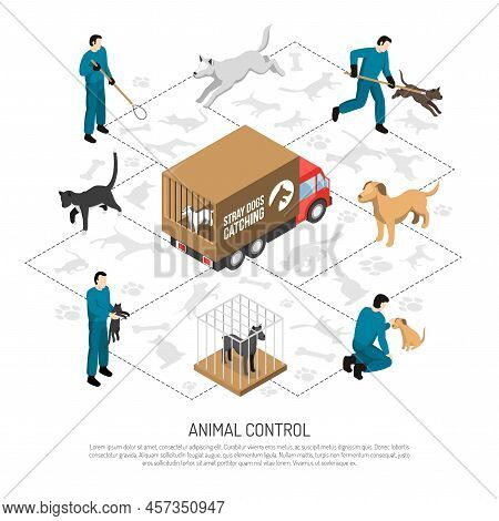 Animal Control Agency Service Isometric Poster With Officers Catching And Transporting Dogs Cats To 