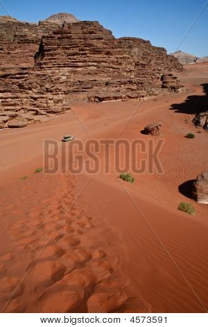 Safari In The Desert