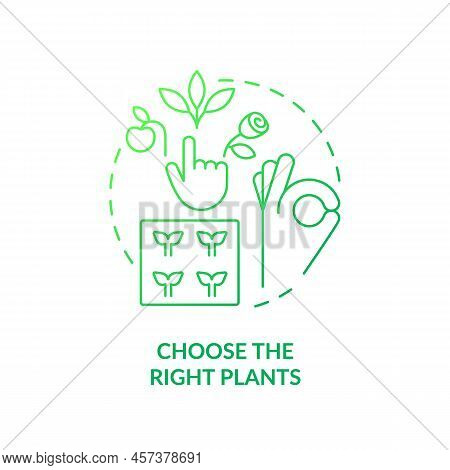 Choose Right Plants Green Gradient Concept Icon. Place And Condition. Growing Plants. Gardening Tip 