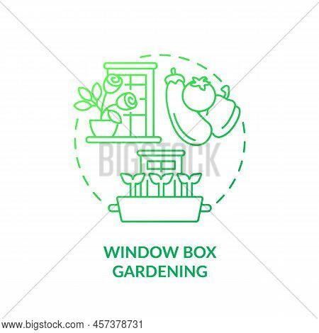 Window Box Gardening Green Gradient Concept Icon. Windosill Containers. Growing Plants. Gardening Me