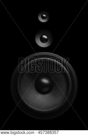 Black Sound Speaker Close-up. Bass And Tweeter In One Speaker.