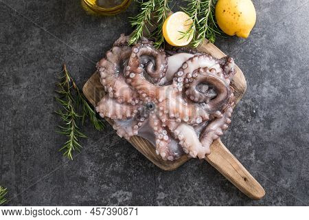 Octopus. Creative Concept Of Healthy Food With Photos Of Delicious Seafood From Octopus.octopus. Cre