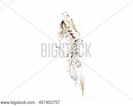 Print Of Muddy Boot On A White Background