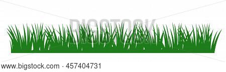 Grass. Nature Rural Landscape. Pasture Overgrown. Overgrown Dense Lawn. Isolated On White Background