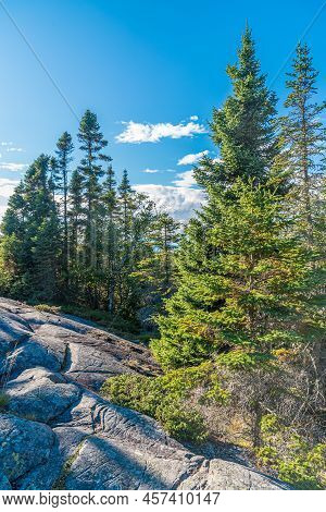 Landscape With Forest In Ontario, Pukaskwa National Park. Canada.
