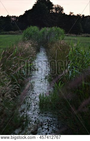 Little Streamlet Between Meadows With Greens At The Side