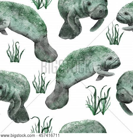 Hand Drawn Watercolor Seamless Pattern With Manatee Cow. Sea Ocean Marine Animal, Nautical Underwate