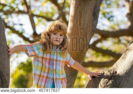 Child Boy Climbing High Tree In The Summer Park. Portrait Of Cute Kid Boy Sitting On The Tree, Climb
