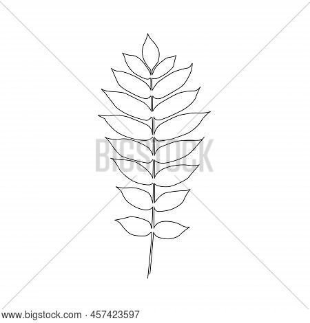 One Line Drawing Vector Leaf. Minimal Art.