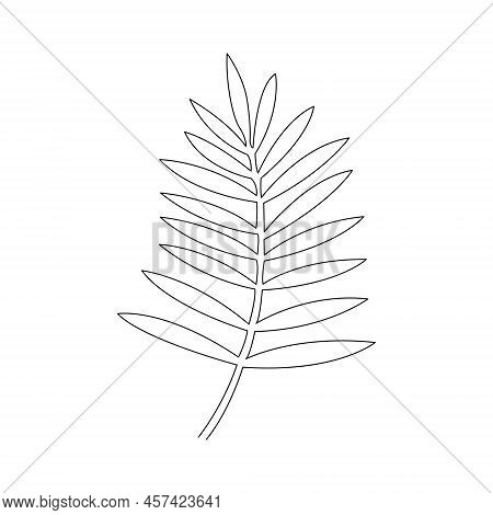 One Line Drawing Vector Leaf. Minimal Art.