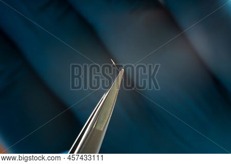 Close-up Of One Removed Hair In Tweezers, Epilation In A Medical Clinic, Electrolysis, Macro Photo