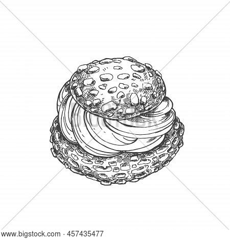 Hand Drawn Vector Choux A La Creme Vintage Illustration