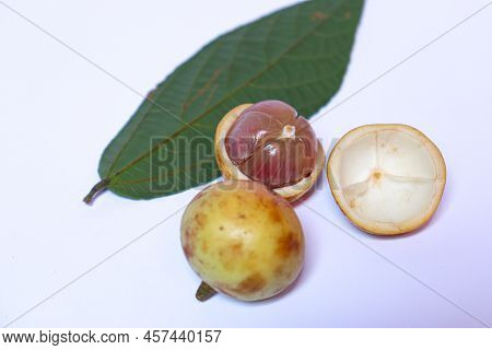 Baccaurea Motleyana With Leaf For Eat
