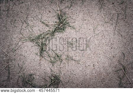 Grass Clippings Strewn Across A Residential Sidewalk After Mowing.