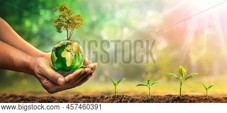 Glass Globe In Hand, Environment Business Growth Concept