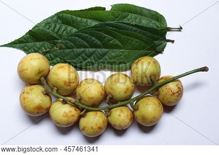 Baccaurea Motleyana With Leaf For Eat