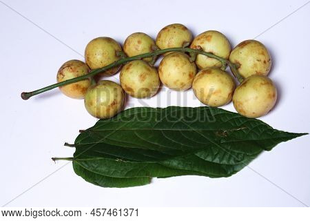Baccaurea Motleyana With Leaf For Eat