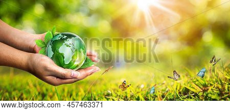 Hand Holding Glass Globe Ball On Blur Green Nature Background