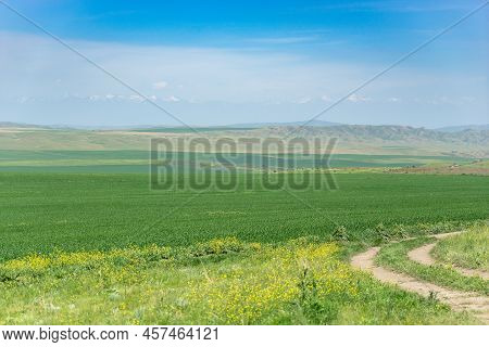 Eco Travel In Georgia In Green Fields And Mountains Tourism