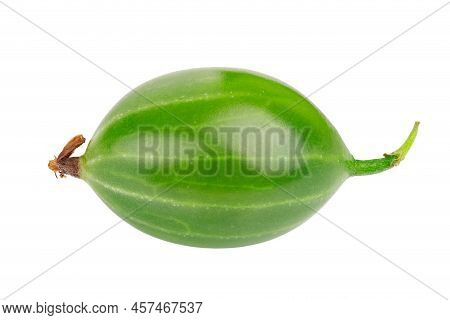 Ripe Green Gooseberry Isolated On White Background. Fresh Agrus. Full Depth Of Field. File Contains 