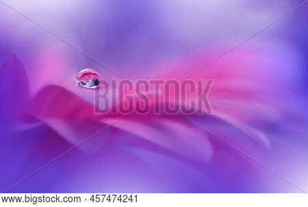 Beautiful Macro Shot of Magic Flowers.Border Art Design.Magic Light.Extreme Close up Photography.Conceptual Abstract Image.Violet and Blue Background.Fantasy Art.Creative Wallpaper.Beautiful Nature Background.Amazing Spring Flower.Water Drop.Copy Space.