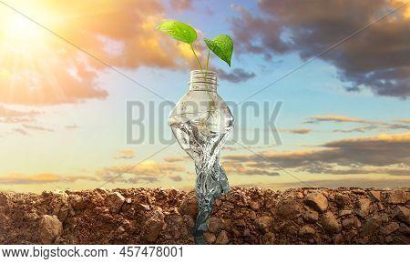 Planting Trees In Bottles On Natural Background. Conservation Of Forest Concept