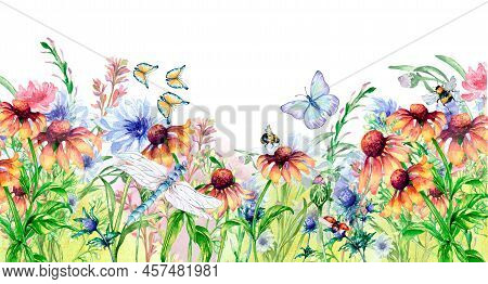 Meadow Orange, Pink Flowers Board And Insects Watercolor Illustration Isolated.