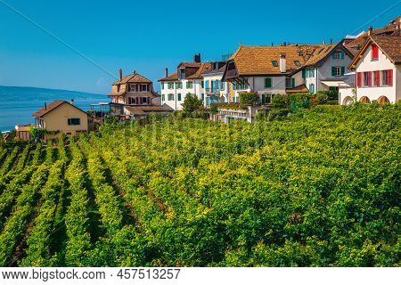 Beautiful Orderly Terraced Vineyard And Lake Geneva In Background. Green Vine Plantation And Colorfu