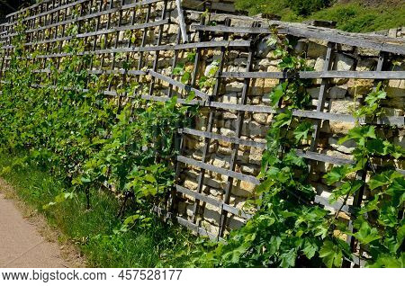 Wooden Wine Trellises. Brick Red Wall With Recessed Lights And Drainage Pipes For Draining Drainage 