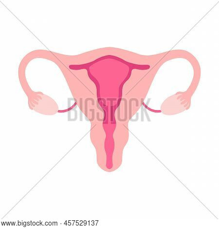 Female Uterus Flat Icon. Girl Periods Calendar, Pads, Uterus And Tampons Vector Illustration. Hygien