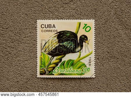 Cuba Correos 1989, A Stamp Printed In Cuba Depicts An Exotic Bird, The Pale-winged Trumpeter Psophia