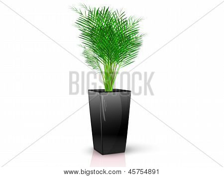 Svart vas med blomma 1
